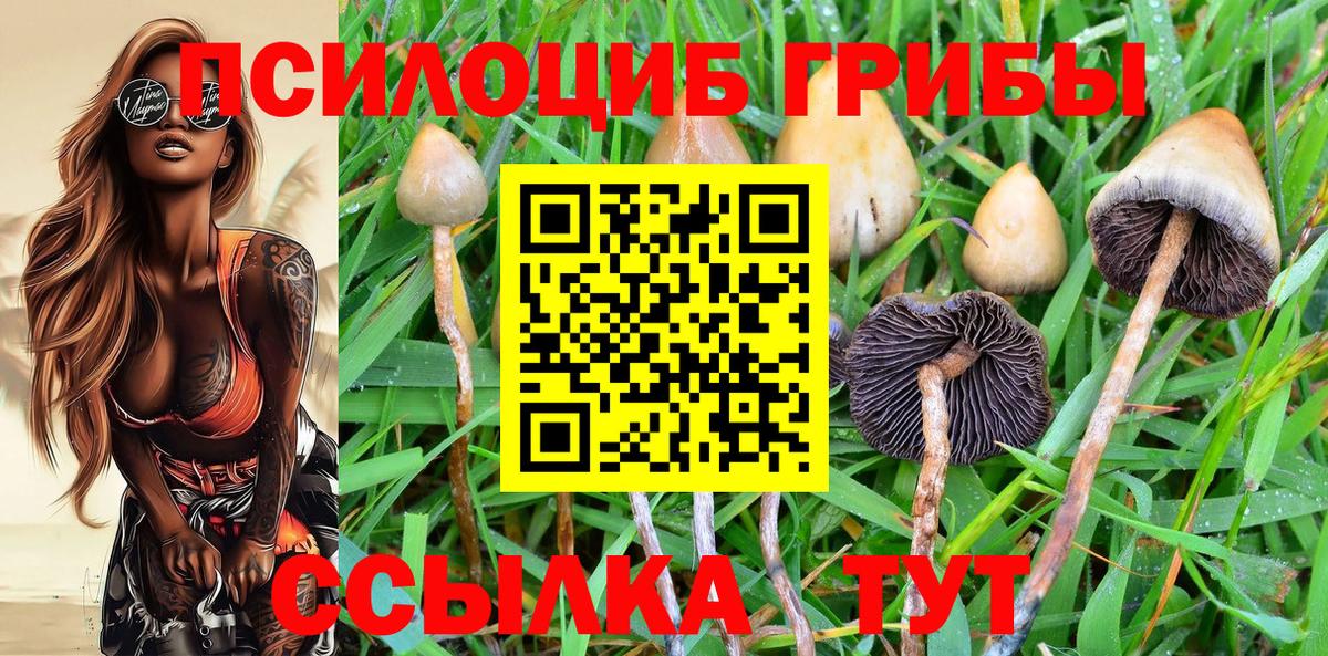 Псилоцибиновые грибы прущие грибы  Вход с VPN  Кимовск 