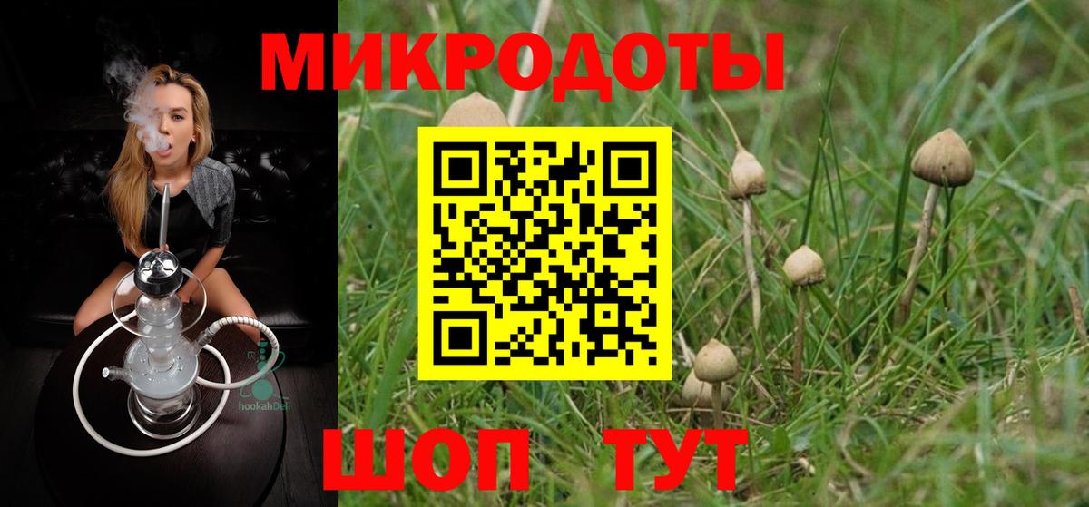 Галлюциногенные грибы GOLDEN TEACHER Кимовск